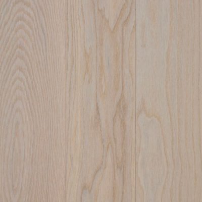 Immagine per il numero della scelta 7