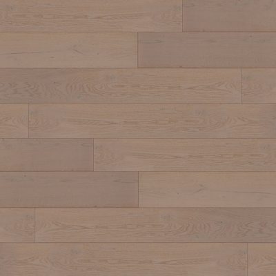 Immagine per il numero della scelta 12