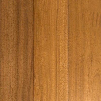 Immagine per il numero della scelta 1