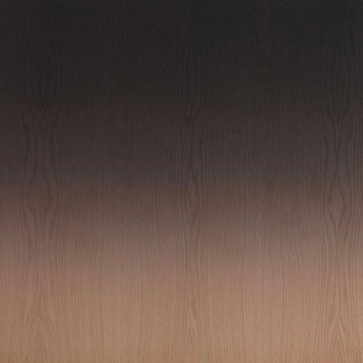 Immagine per il numero della scelta 29