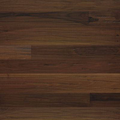 Immagine per il numero della scelta 5