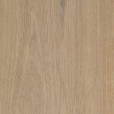 Immagine per il numero della scelta 8