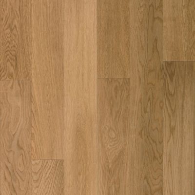 Immagine per il numero della scelta 5